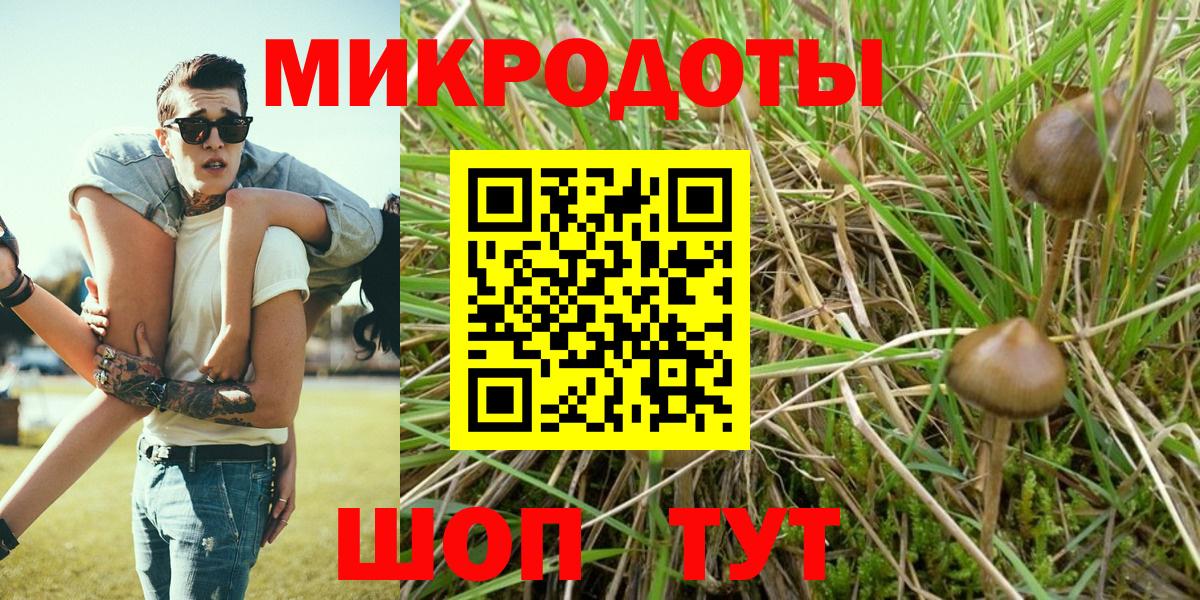 Галлюциногенные грибы мицелий Каспийск